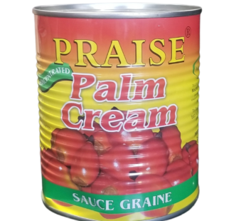 Praise Palmnut Cream (sauce Graine) | 740g